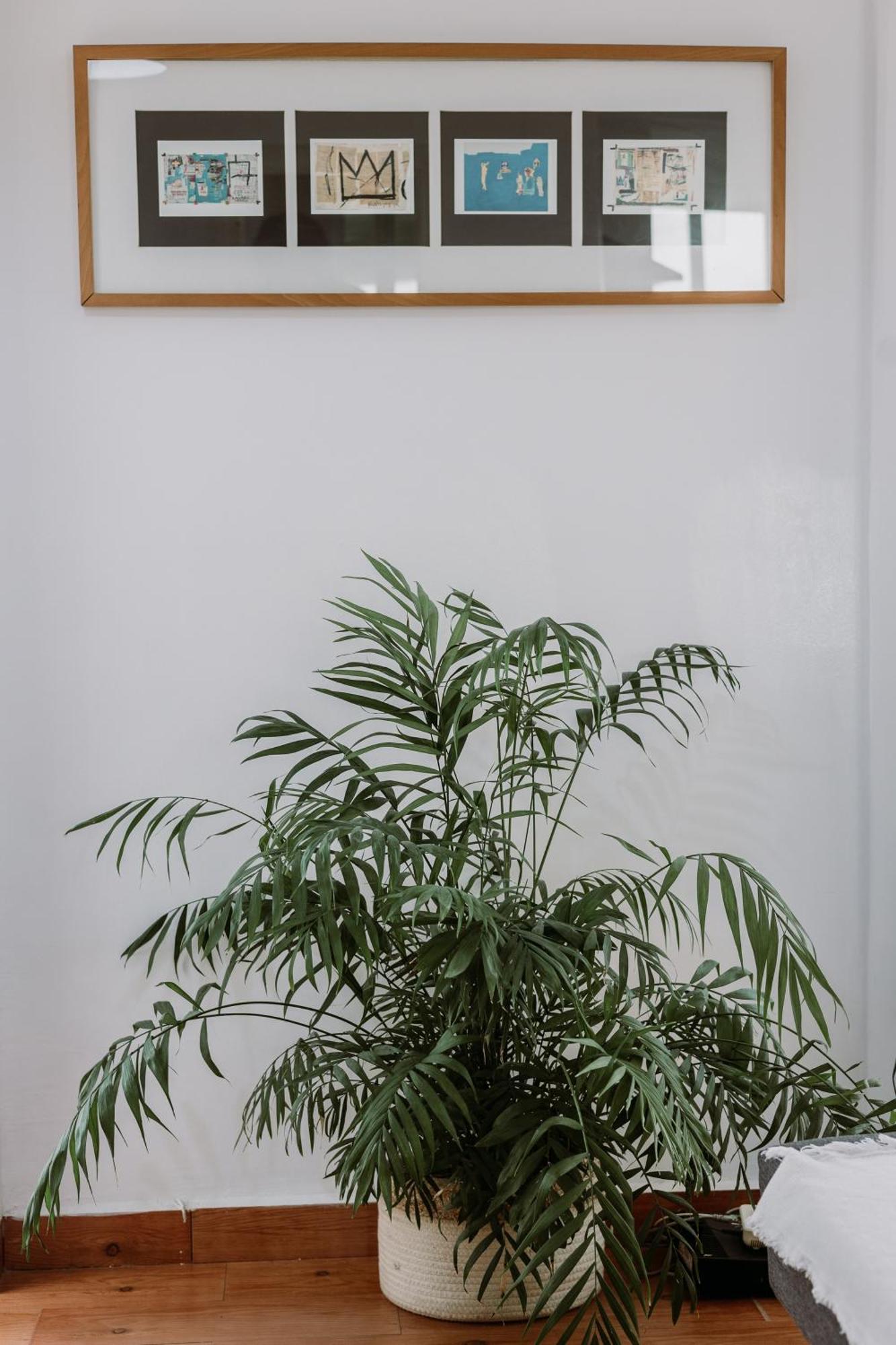 Spacious Central Apartment Sewilla Zewnętrze zdjęcie